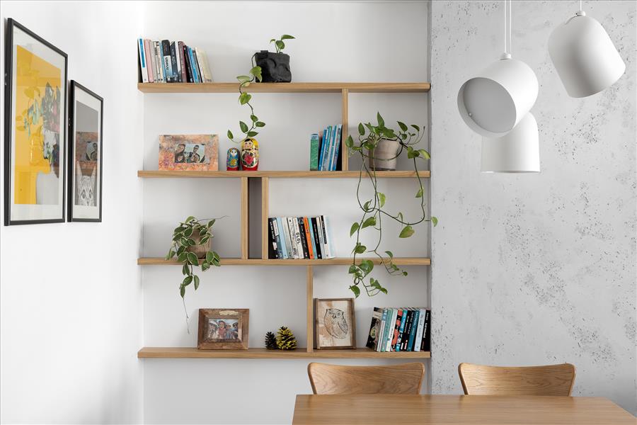 ספריה פתוחה לאחסון ותצוגה