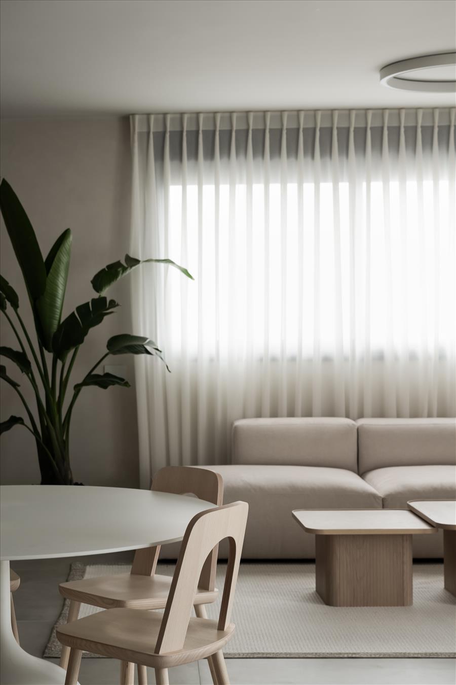 פלטת גוונים רכה וטבעית